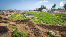 منابع فلسطینی با انتشار تصاویری از تخریب آخرین سبد غذایی خانوارهای فلسطینی در جنوب نوار غزه خبر دادند.